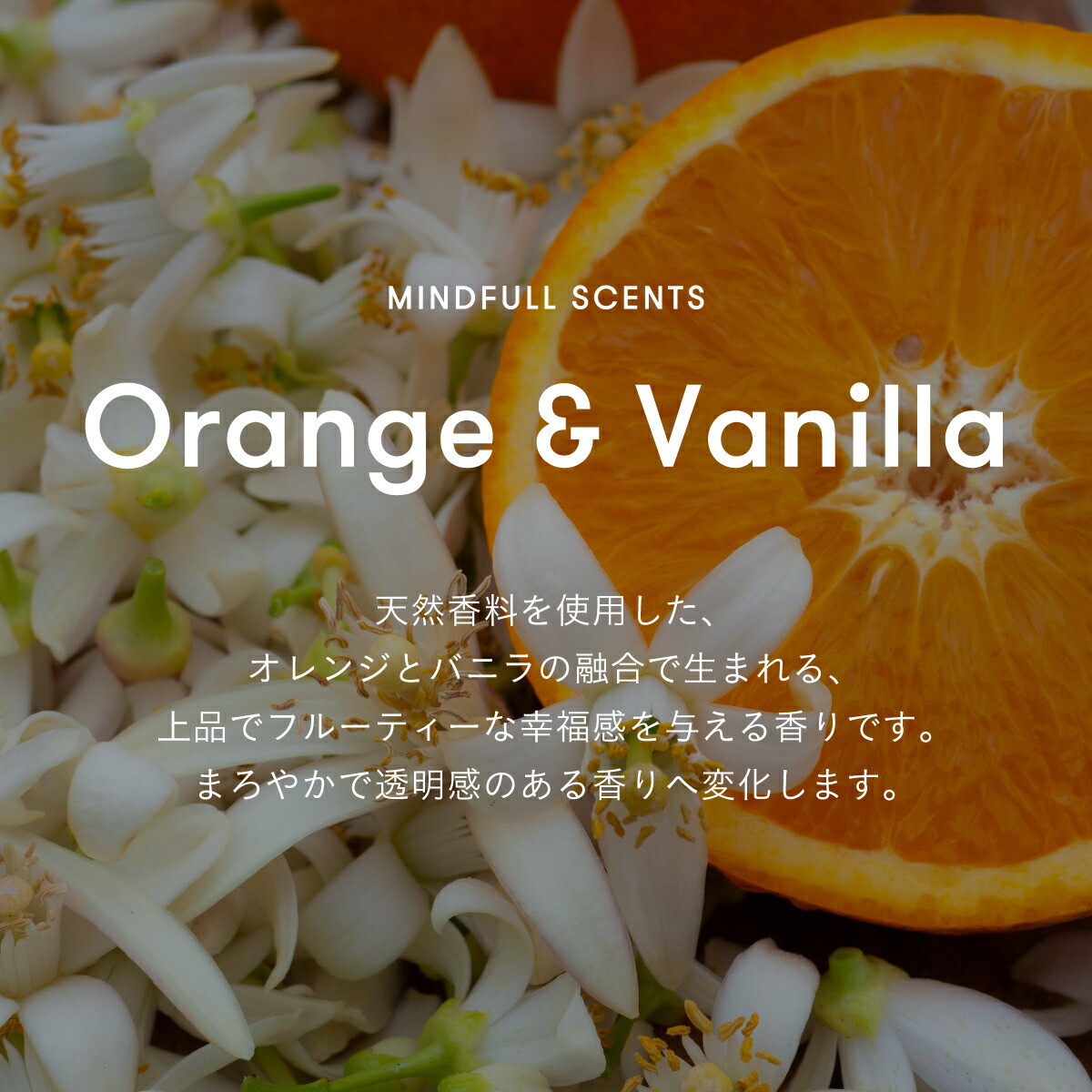 楽天市場】☆25日限定P5倍&10%OFF☆【公式】SINN PURETE オーガニック