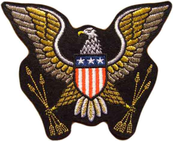 楽天市場】金銀大きめイーグルワッペン【アイロン接着】【刺繍】【鷹