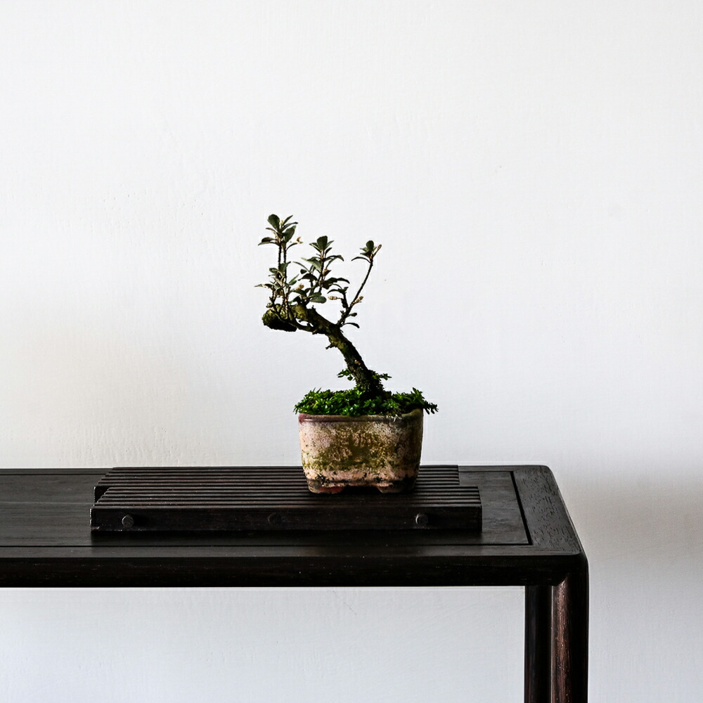 楽天市場】竹編み花マット 花台 花スタンド 小品盆栽展示台 盆栽ラック