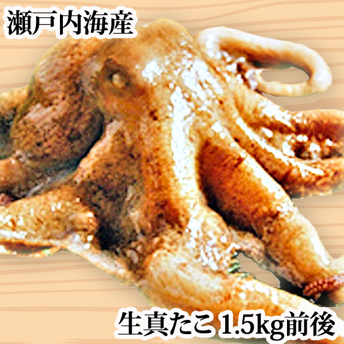 s-0039-0.jpg?fitin=272:272