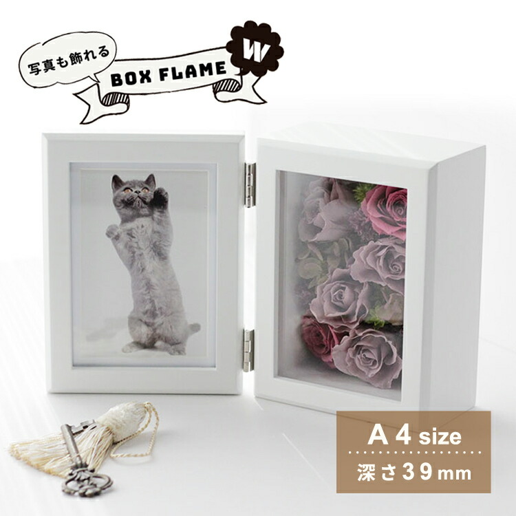 楽天市場】立体額 ボックスフレームダブル A4（卓上用）アートボックス