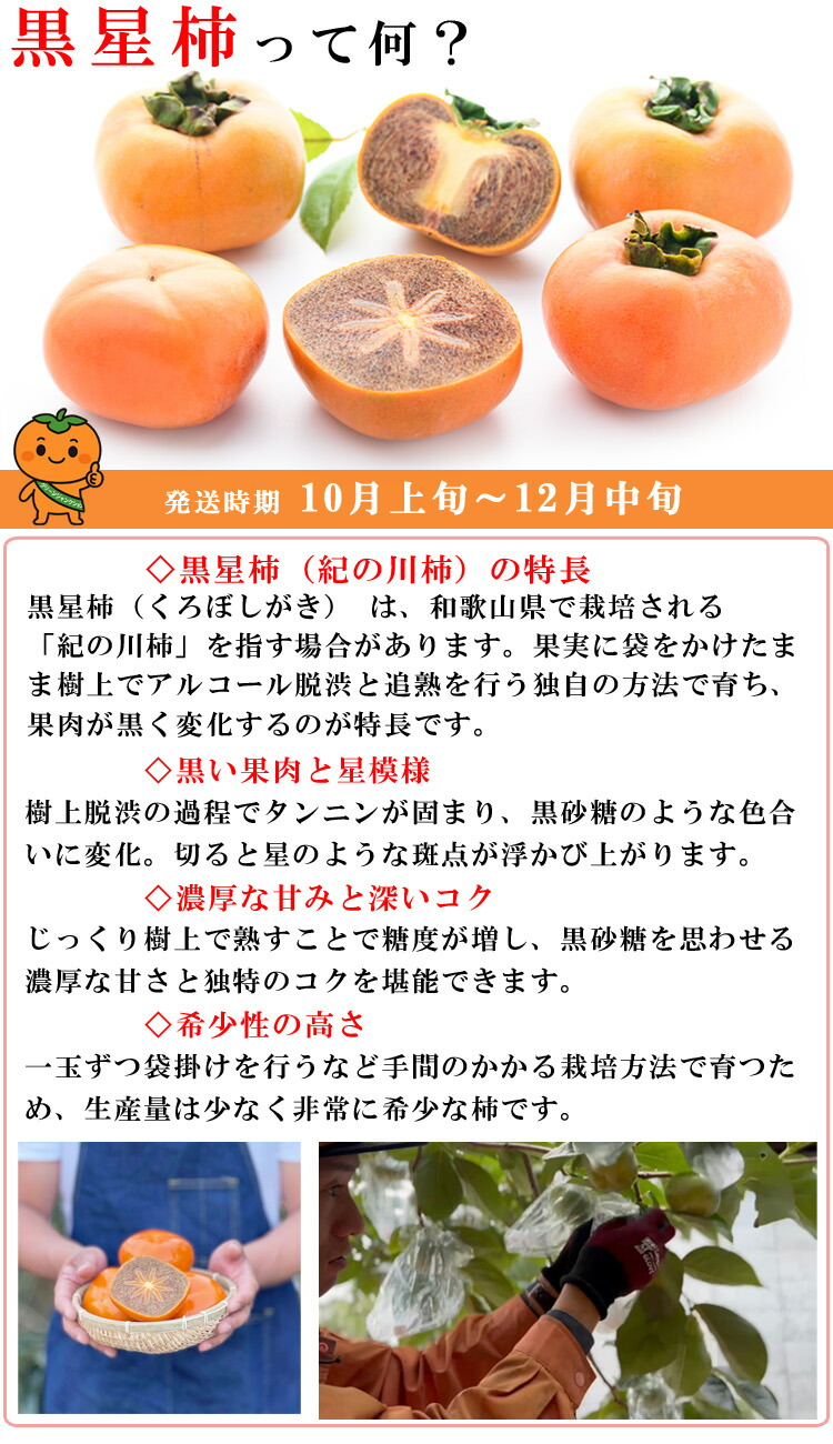 楽天市場】【送料無料】 柿 和歌山県産 紀ノ川柿 ブラックスター