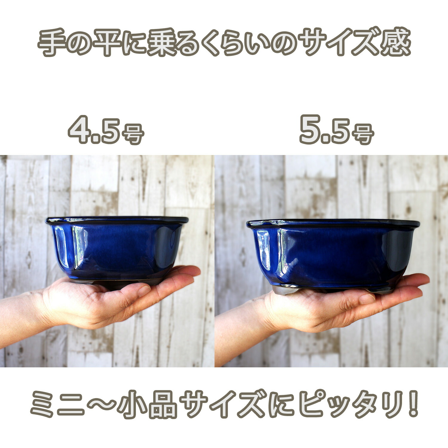 楽天市場】盆栽鉢 陶器 4.5〜5.5号 木瓜鉢 モッコ鉢 おしゃれ 専門店