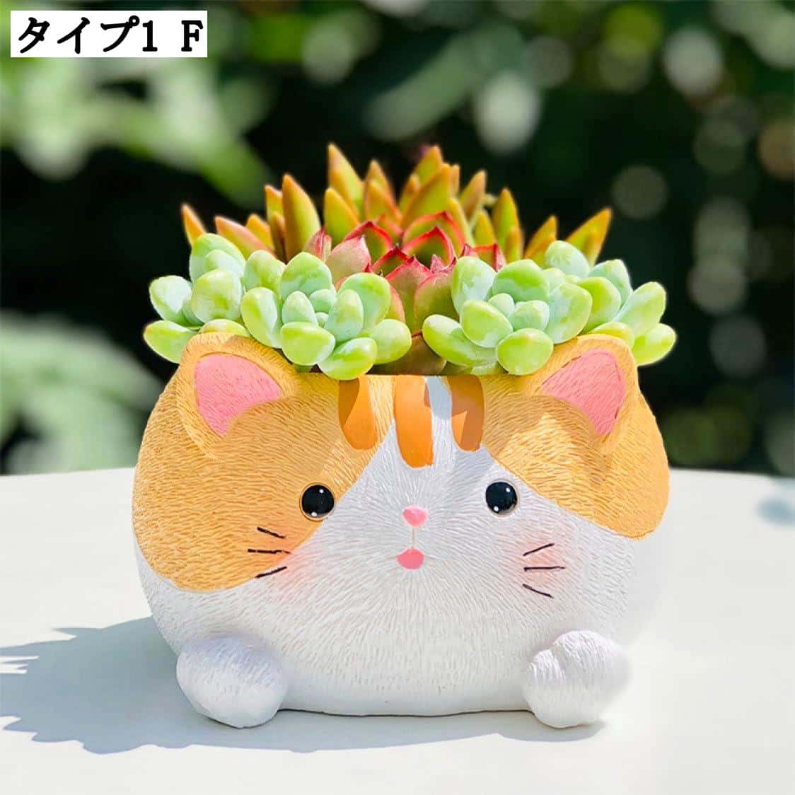☆多肉植物 寄せ植え〜ねこちゃんの手作り水栓プランター〜☆ 楽天市場