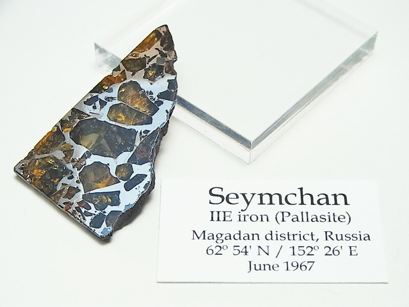 楽天市場】セイムチャン隕石 (SEYMCHAN) パラサイト 隕石【ロシア産