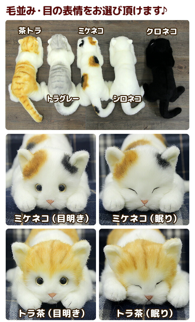 楽天市場】＼特典あり／猫のぬいぐるみ 58cm [本物みたいな リアル