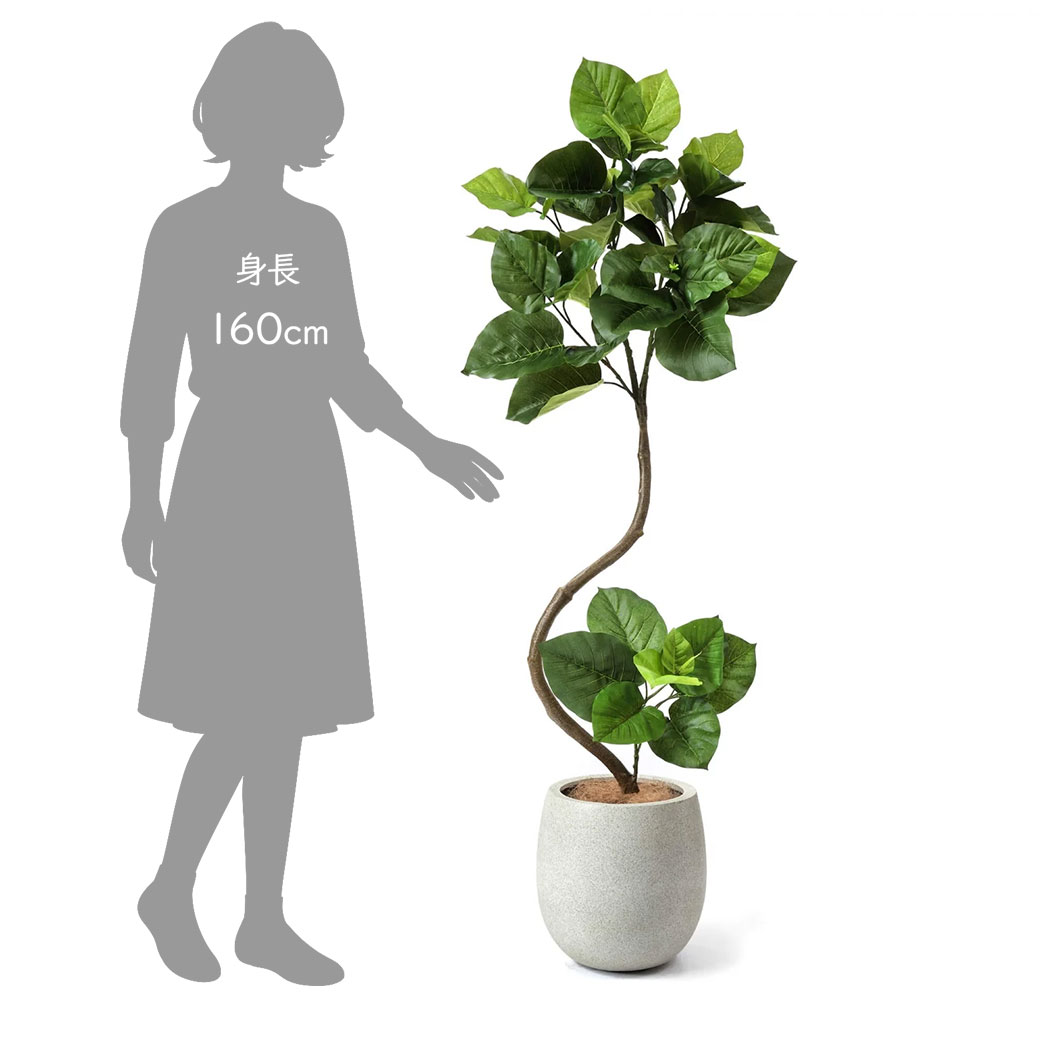 楽天市場】フェイクグリーン 観葉植物 人工観葉植物 造花 卓上