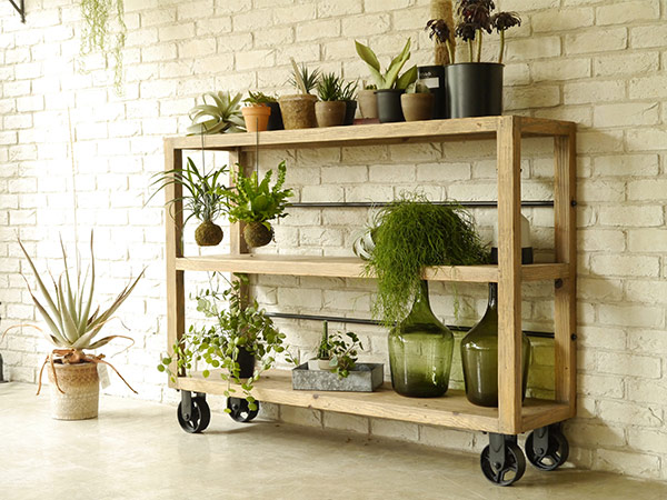 楽天市場】最大3000円OFFクーポンあり MOSH ムート MUT シェルフ W