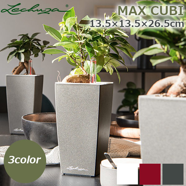 楽天市場】植木鉢 プランター おしゃれ ガーデニング雑貨 鉢