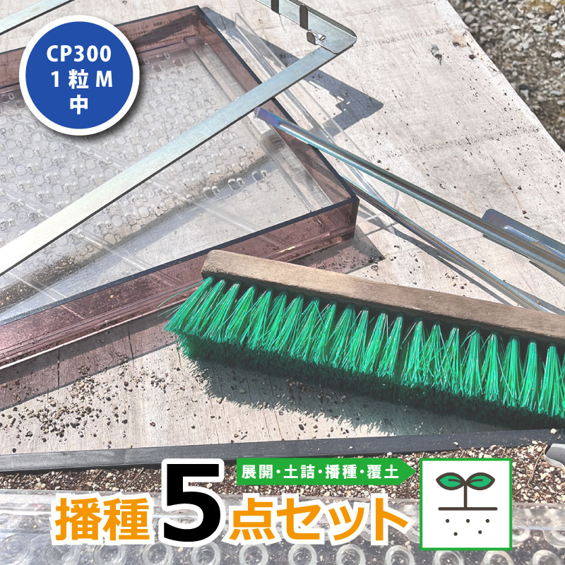 楽天市場】【100%ポイントバック エントリー＆抽選2/25まで】播種5点