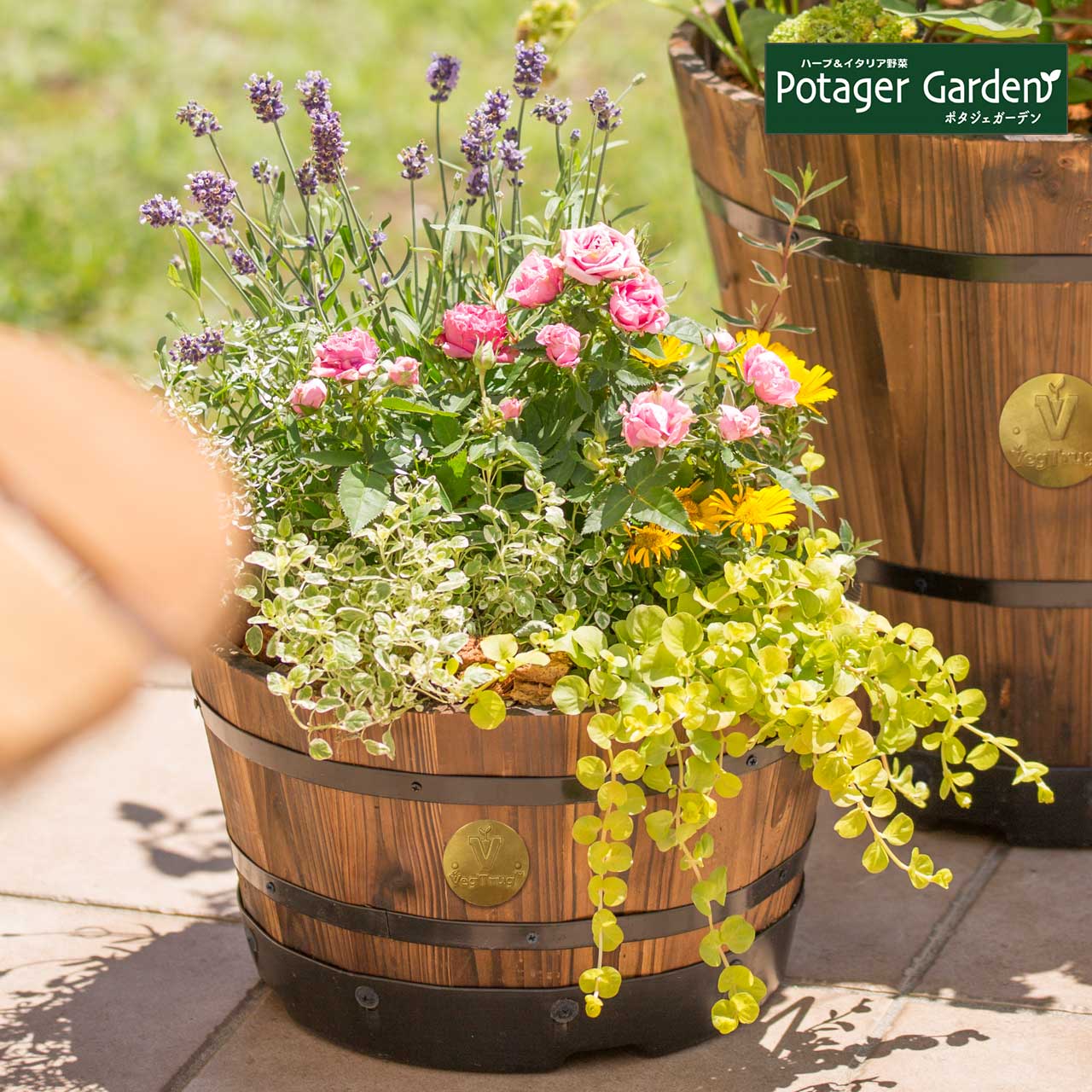 楽天市場】【本日P2倍】 プランター かわいい 浅型 M 円形 ウッド