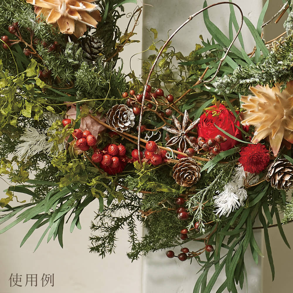 楽天市場】【P15倍中 2/24 9:59まで】 ドライフラワー 花材 即日出荷