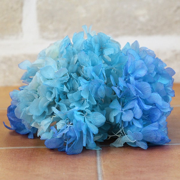 楽天市場】プリザーブドフラワー 花材 即日出荷 ソフトあじさい彩