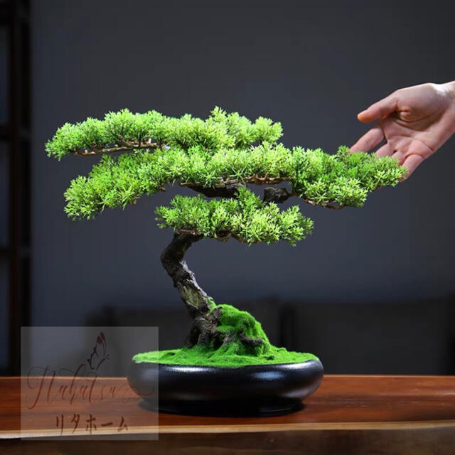楽天市場】A006922インテリアグリーン 高級模造迎客盆栽 ．置物 禅意迎