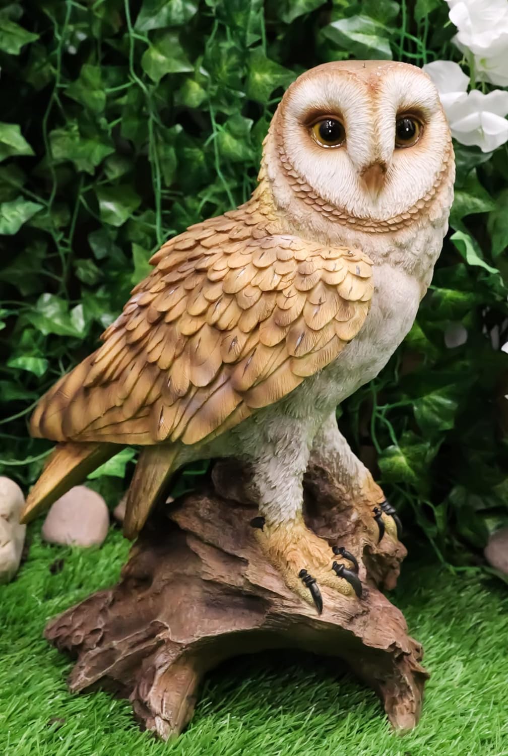 楽天市場】フクロウ 剥製の通販