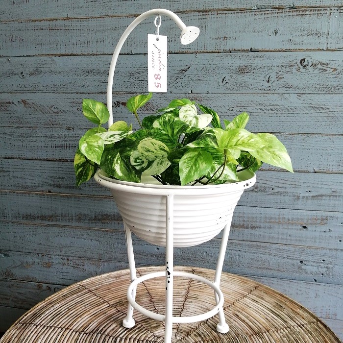 楽天市場】【MAX15％OFF決算クーポン】ガーデニング雑貨 植木鉢