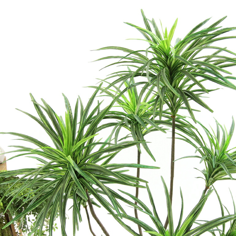 楽天市場】No8182 プレミアム光触媒フェイクグリーン 「枝を自由に曲げ