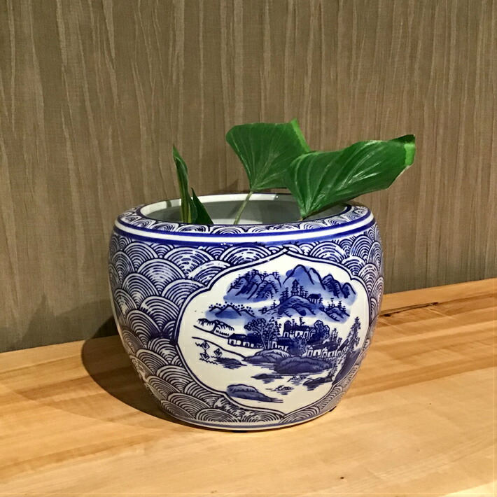 楽天市場】火鉢 水鉢 睡蓮鉢 すいれん鉢 メダカ鉢 金魚鉢 陶器 ハス鉢