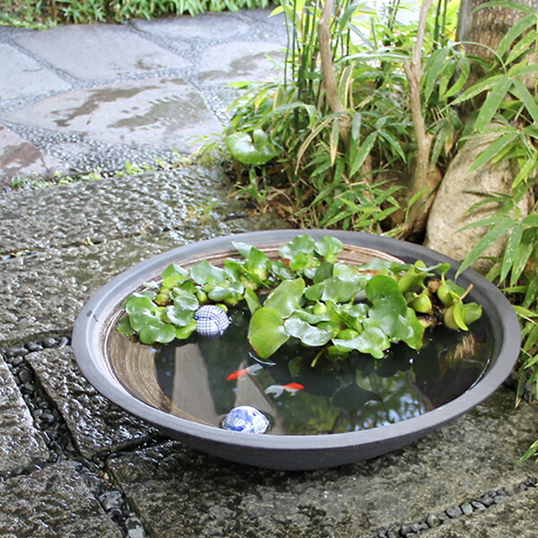 楽天市場】【ポイント10倍】睡蓮鉢 大型 メダカ鉢 金魚鉢 陶器 メダカ