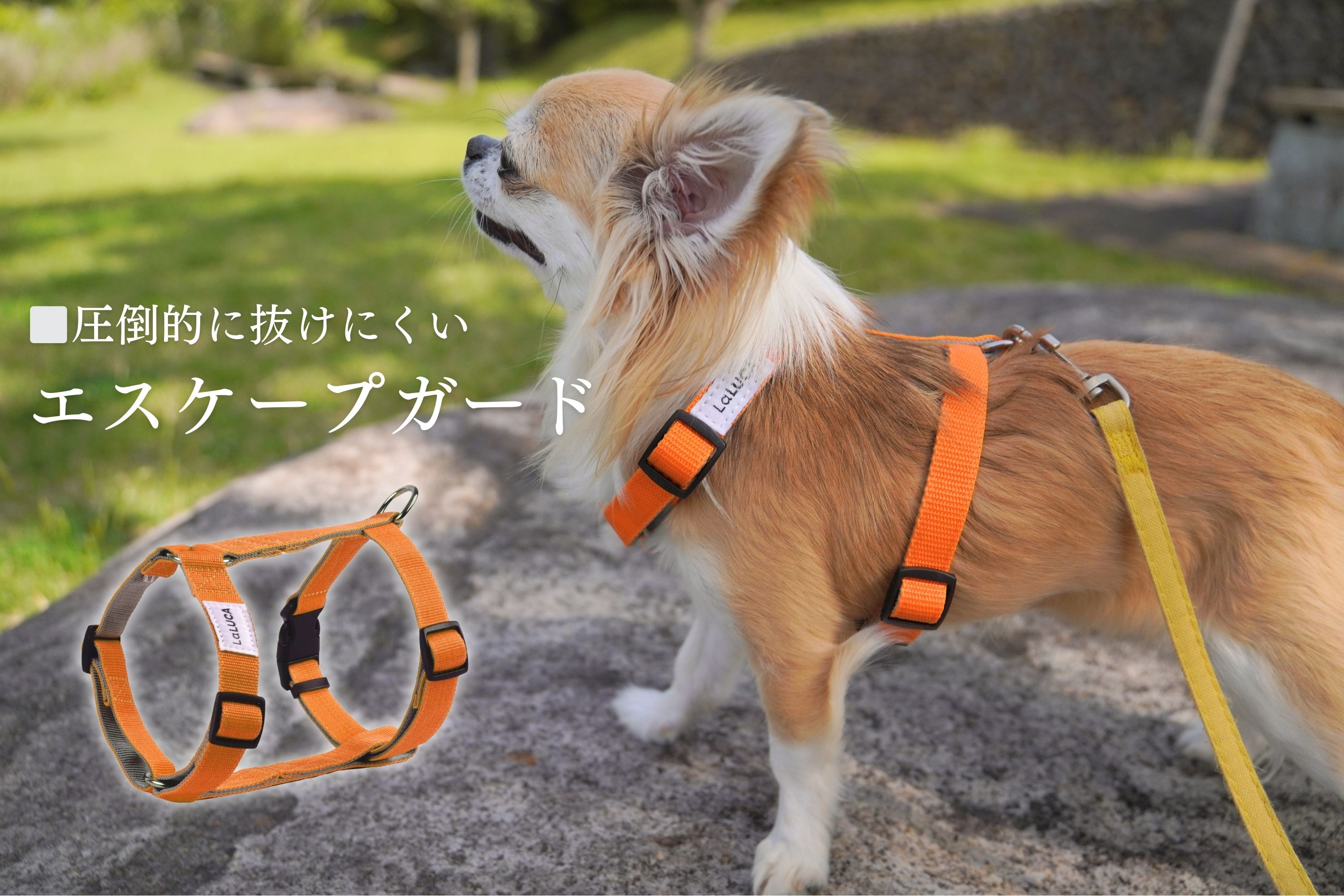 楽天市場 | LaLUCA 楽天市場店 - 皆さまの生活を豊かにする良品を