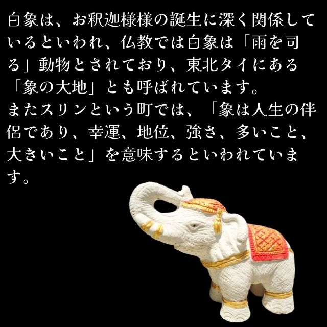 楽天市場】白象 置物 ぞう 風水 ゾウ 白の象 ラインストーン装飾 高さ