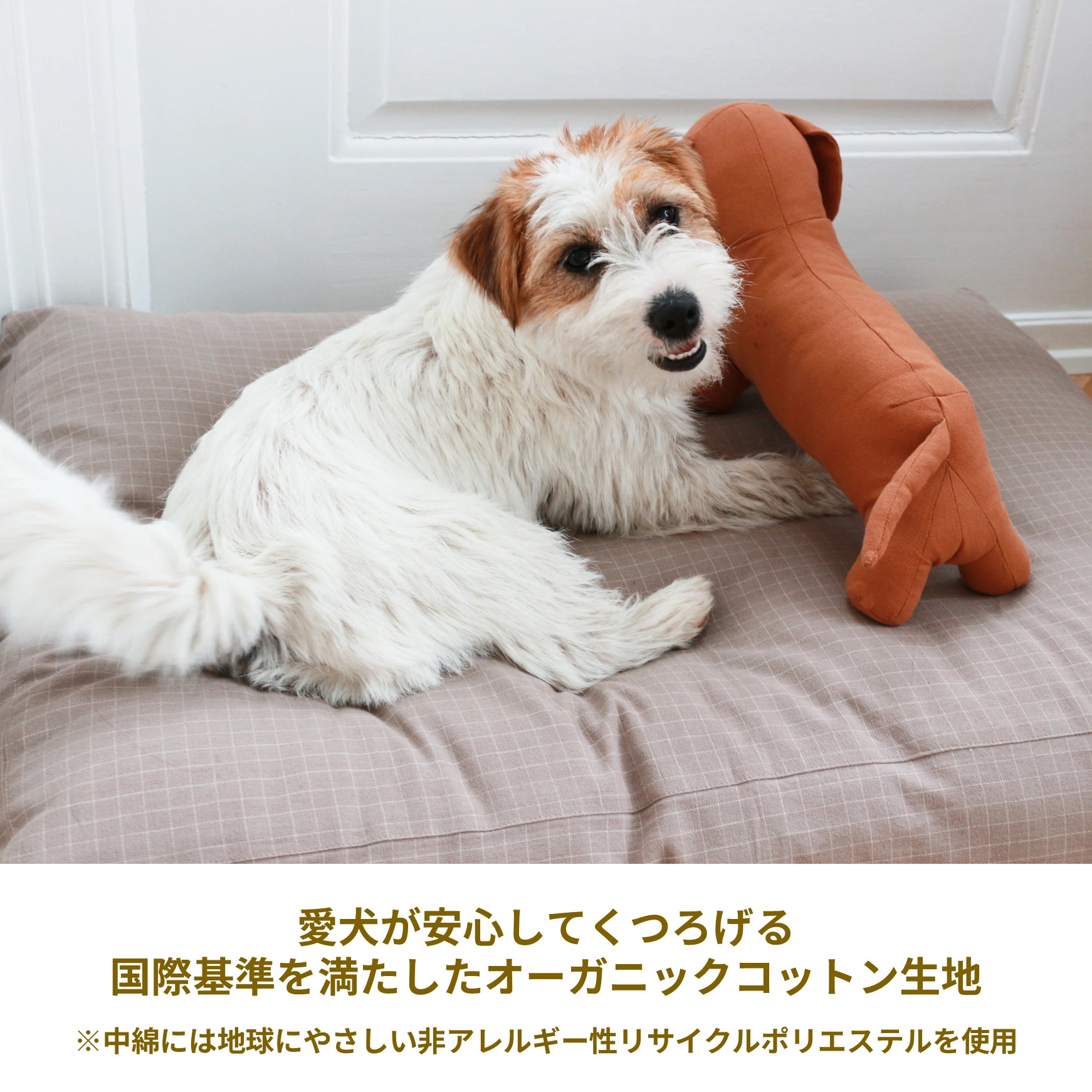 楽天市場】デンマーク・Tadazhi オーガニックコットンドッグクッション