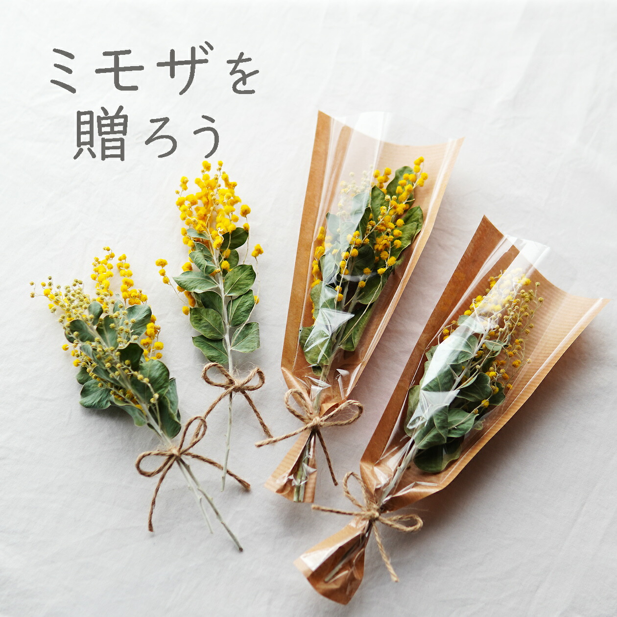楽天市場】ミモザ ドライフラワー 花束 ブーケ スワッグ 小さめ 小さい