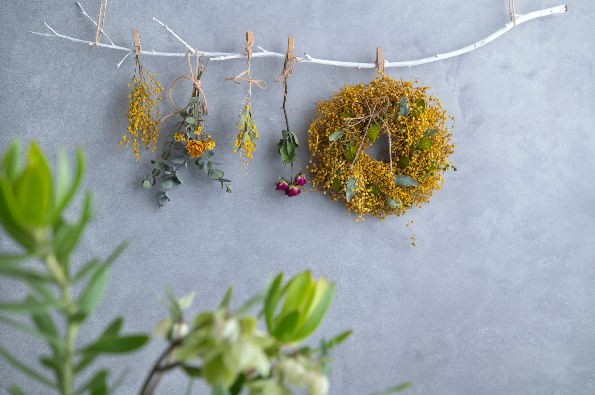 同じようで違う？スワッグとリースの違いを徹底解説！ – 土と風の植物園