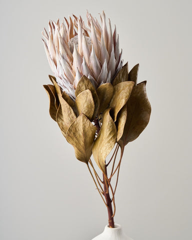 20250916___0065-min_large.jpg?