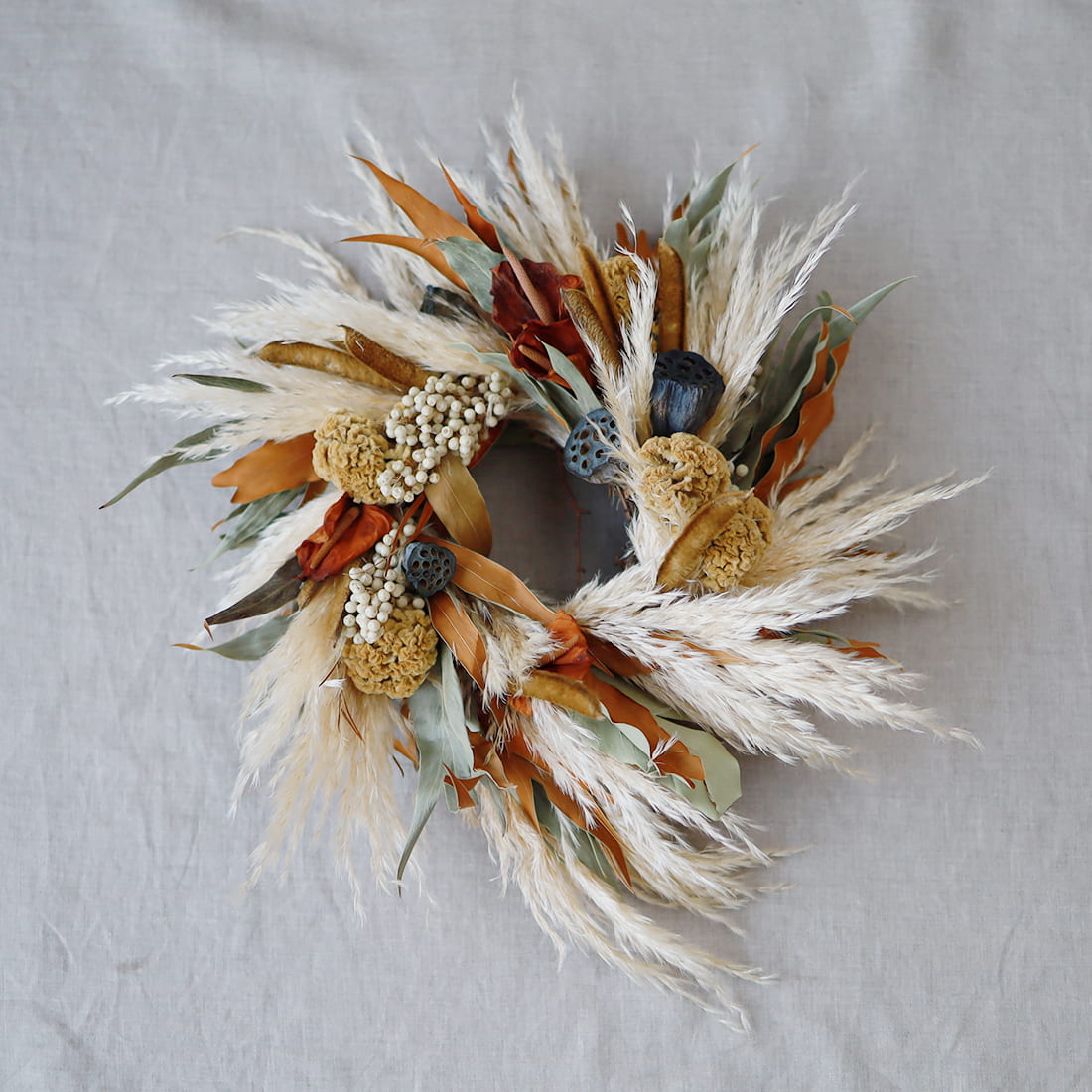 リース］パンパスグラス＜Dance With Me＞ 商品ページ - 土と風の植物園
