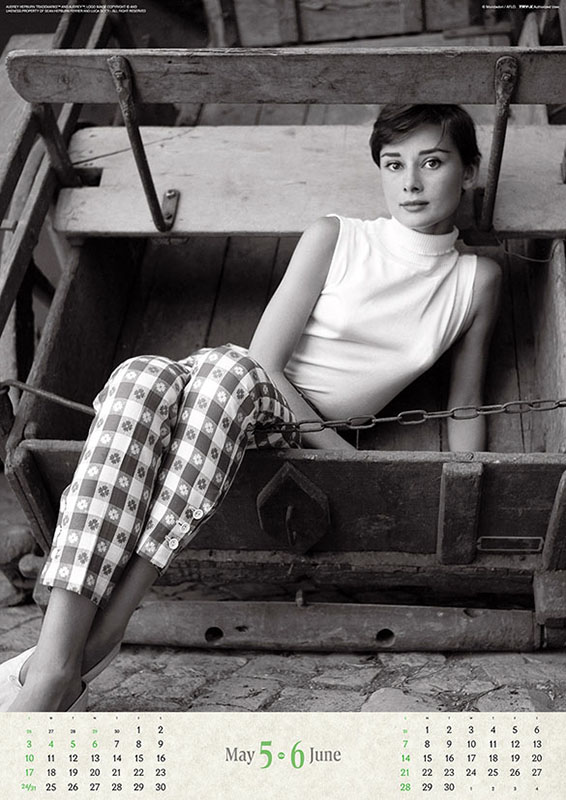 トライエックス / オードリー・ヘプバーン 2026年カレンダー CL-341