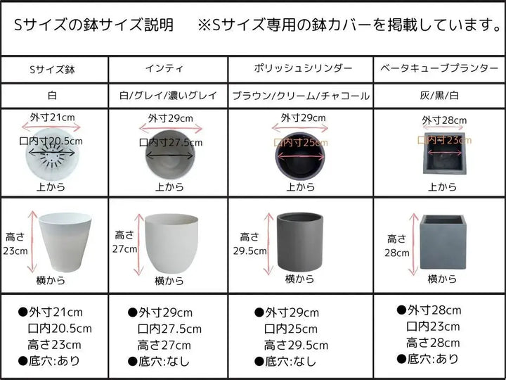 NEWホワイト（オリーブの木）｜Sサイズ｜K-313｜約110cm｜希少・白葉