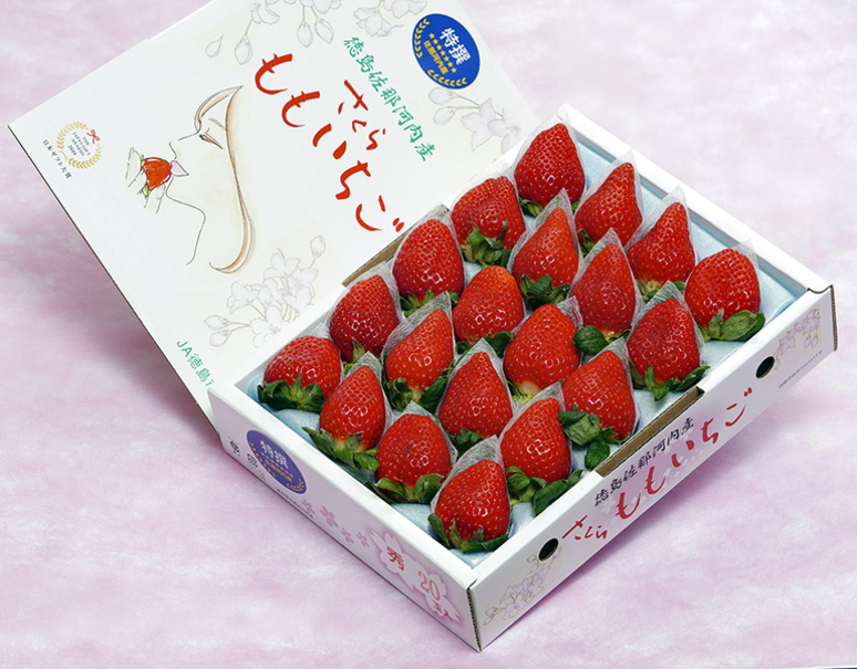 大粒『さくらももいちご』徳島県佐那河内産 約700g（16〜24粒）化粧箱