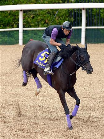 安田記念】連勝だ！“魔神”ヴィルシーナ｜競馬ニュース｜競馬予想の