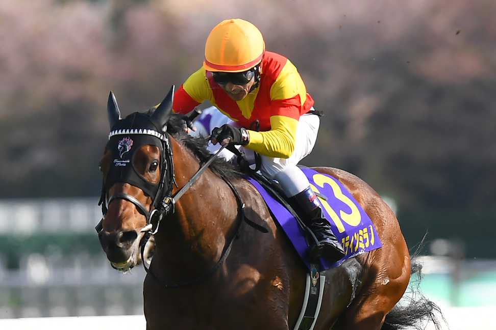 NFミックスセール】当歳馬部門は上場52頭が完売！ 1億円以上は10頭