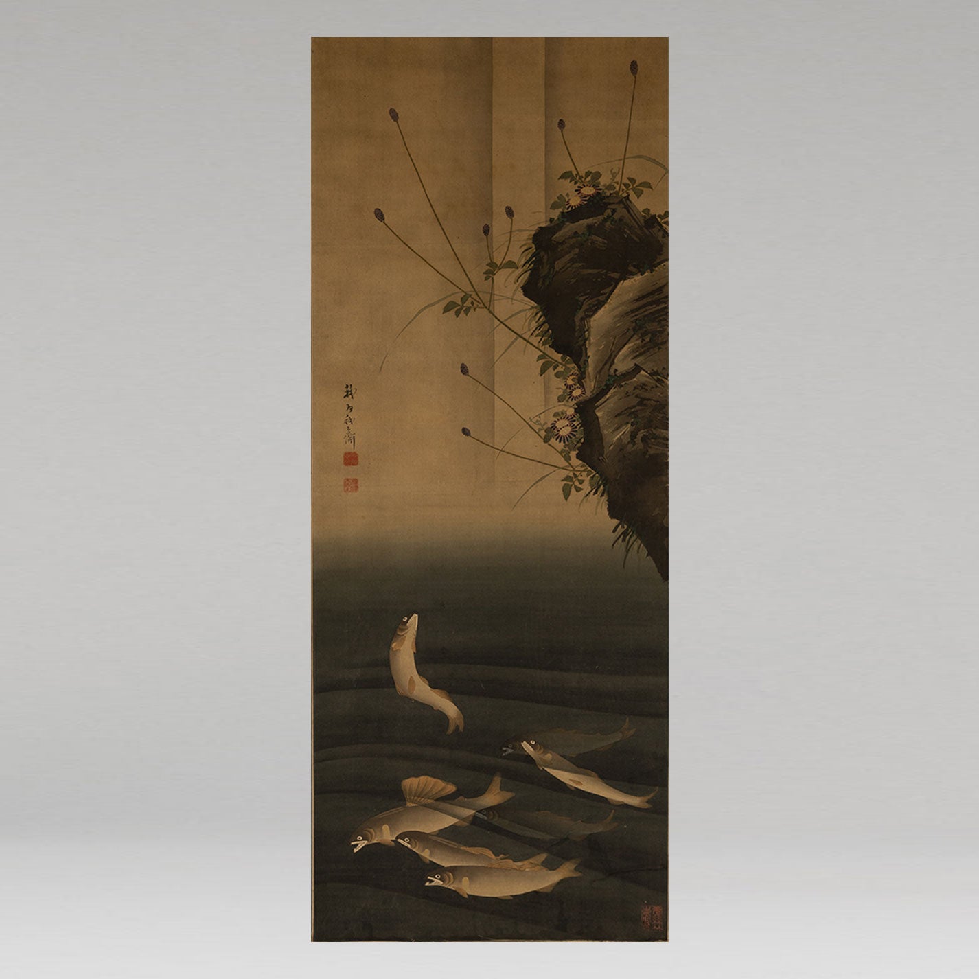 K0389-001.jpg?v=1730878093