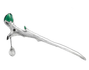 糸魚川翡翠ジュエリー・アクセサリーデザイン画コンテスト