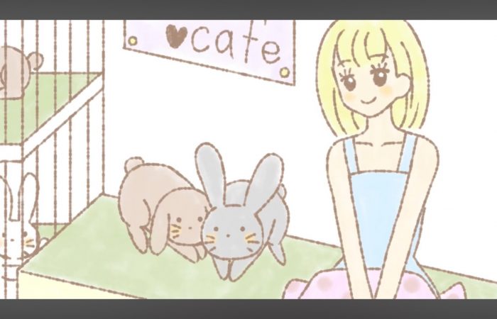 うさぎのワンダーランド うさぎとカフェ – うさぎのワンダーランド