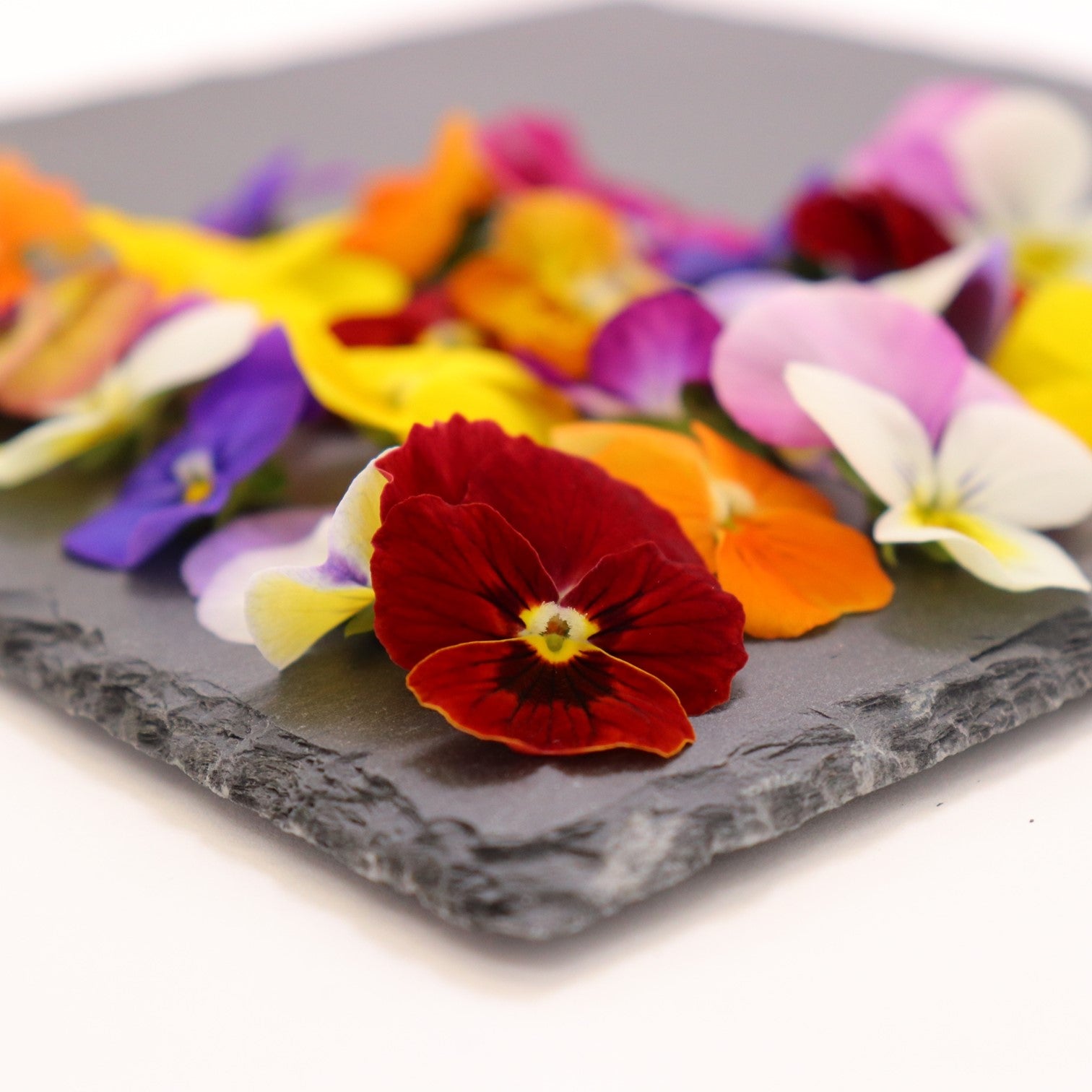 うずの華 食用花 エディブルフラワー ビオラ・Mix – うずの華