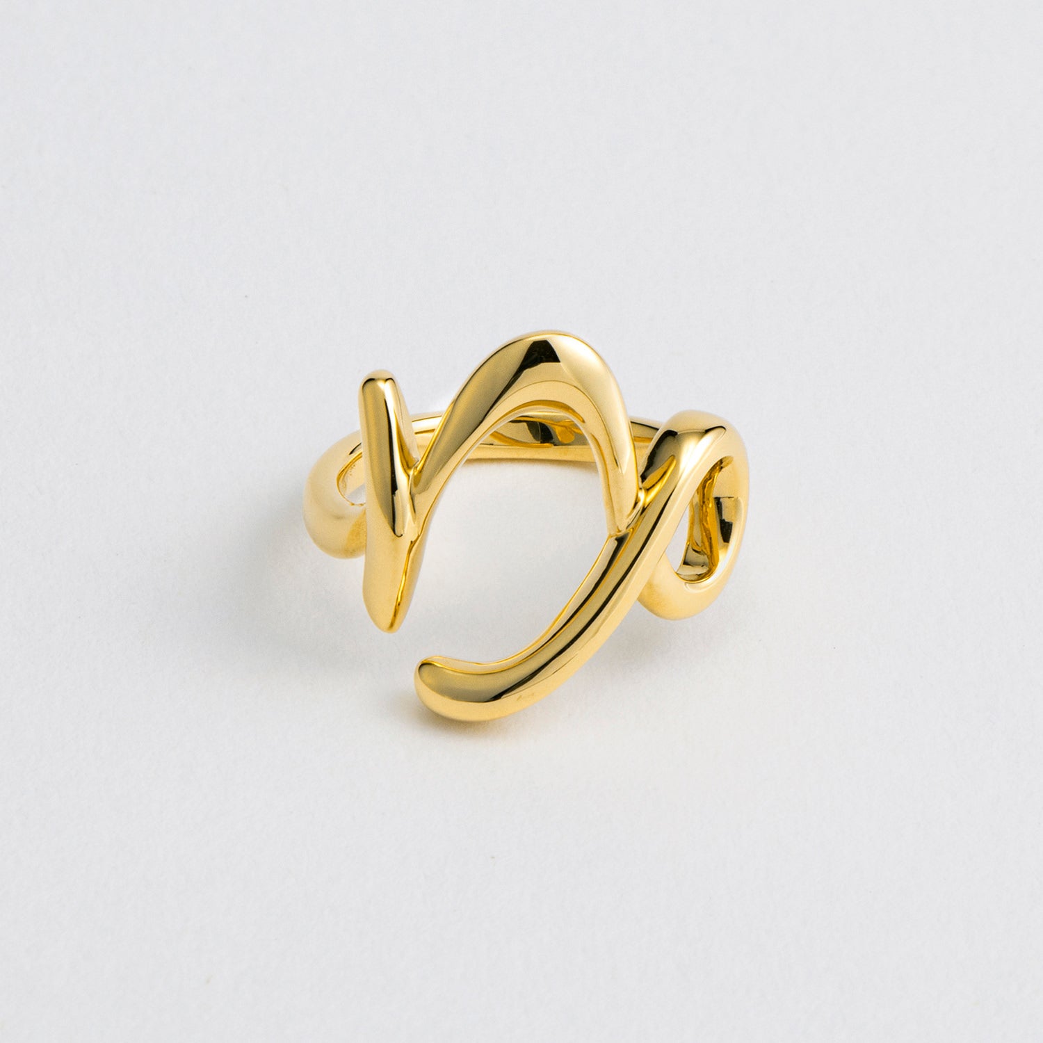 Zodiac リング やぎ座 – VERMILLION