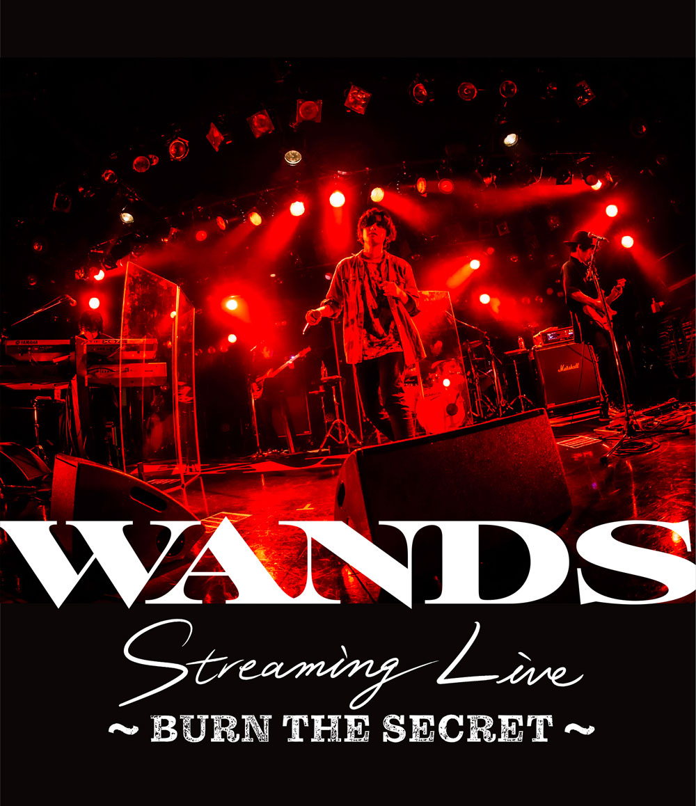 WANDS OFFICIAL WEBSITE
