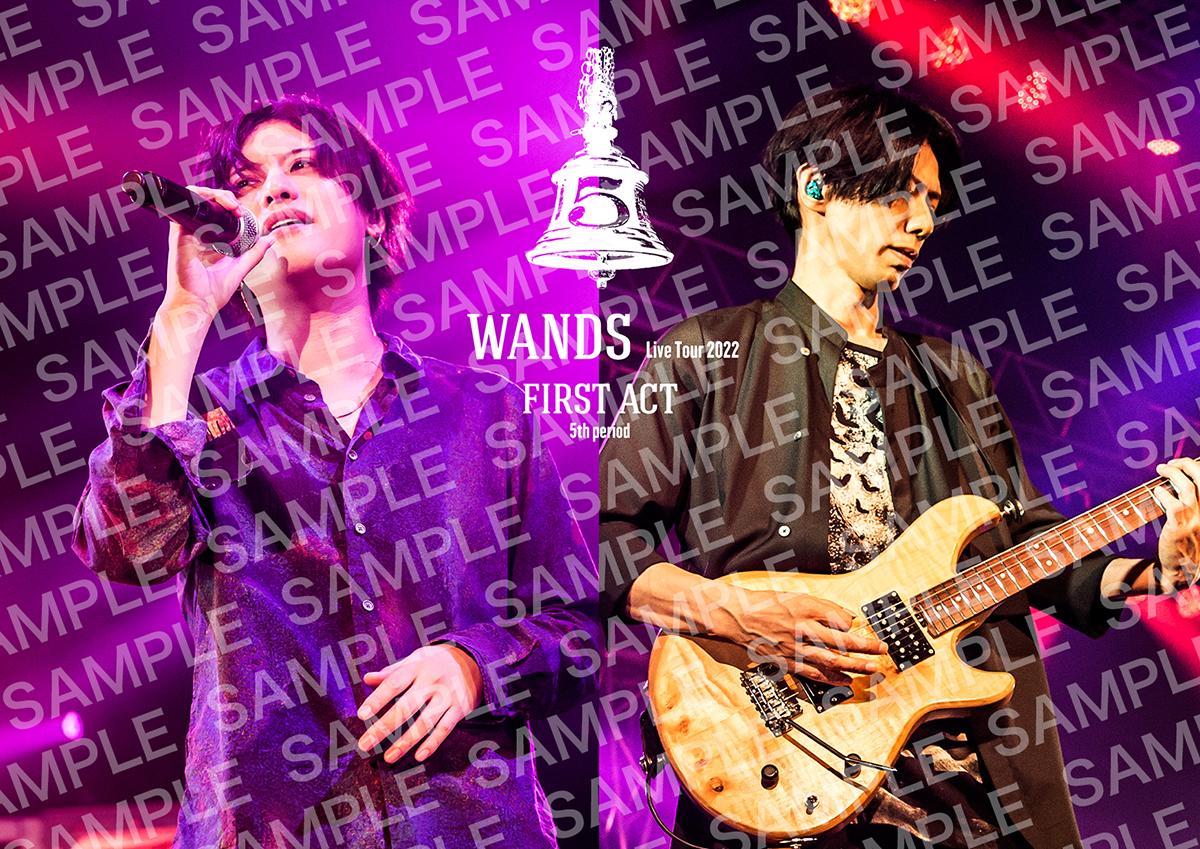 WANDS OFFICIAL WEBSITE