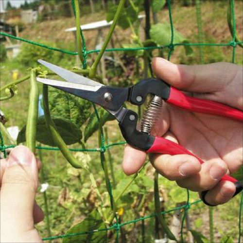 摘果鋏エクストラロングタイプ 300LL-BP｜アルス《公式》園芸刃物ショップ