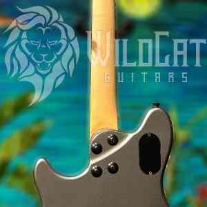 EVH Wolfgang USA HH Floyd Rose Trem Silver Metallic WG16070A