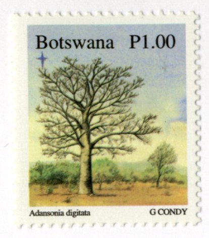 ボツワナ|切手に見る樹木|11-木とデザイン|木の情報発信基地
