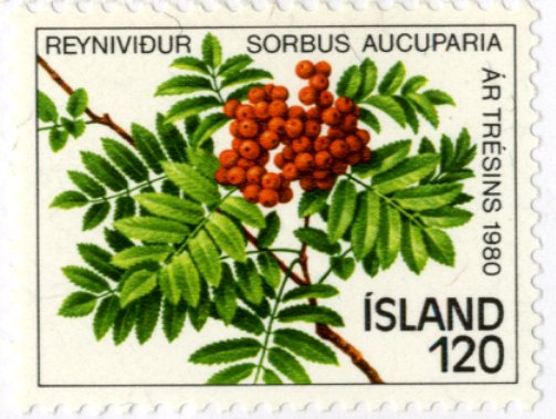 Island アイスランド |切手に見る樹木|11-木とデザイン|木の情報発信基地