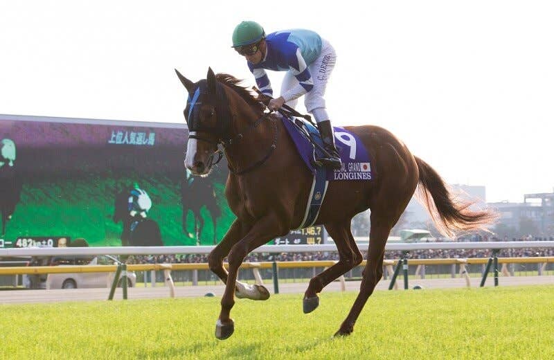 シュヴァルグラン（Cheval Grand） | 競馬データベース | JRA-VAN