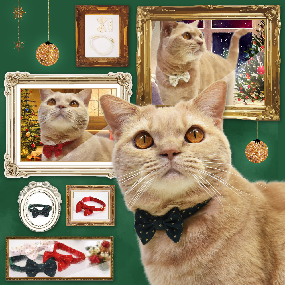 デイリー猫首輪DX にゃんりぼん金色お星様 リボン付き猫用首輪