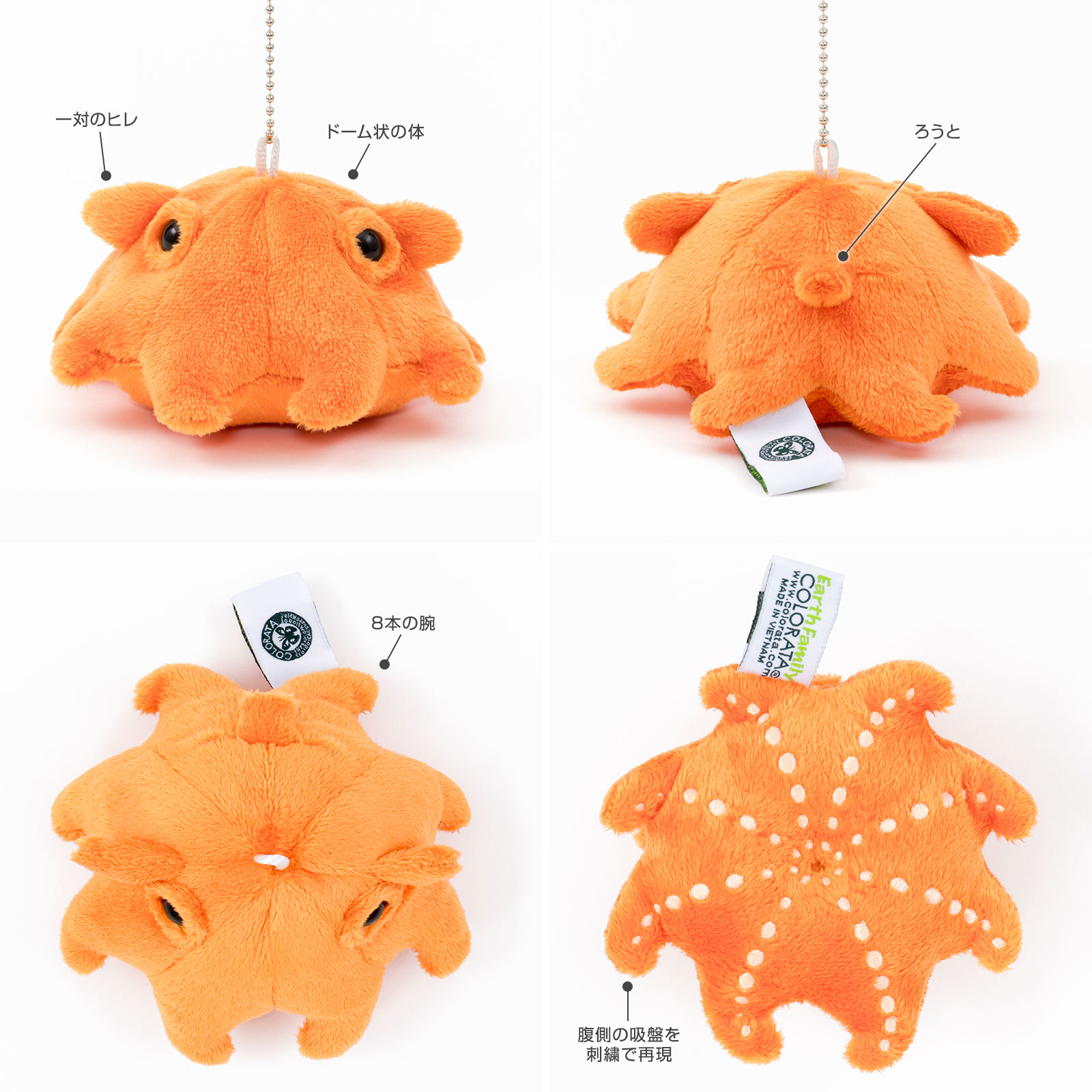 深海生物 マスコット メンダコ│動物 カロラータ オンラインショップ