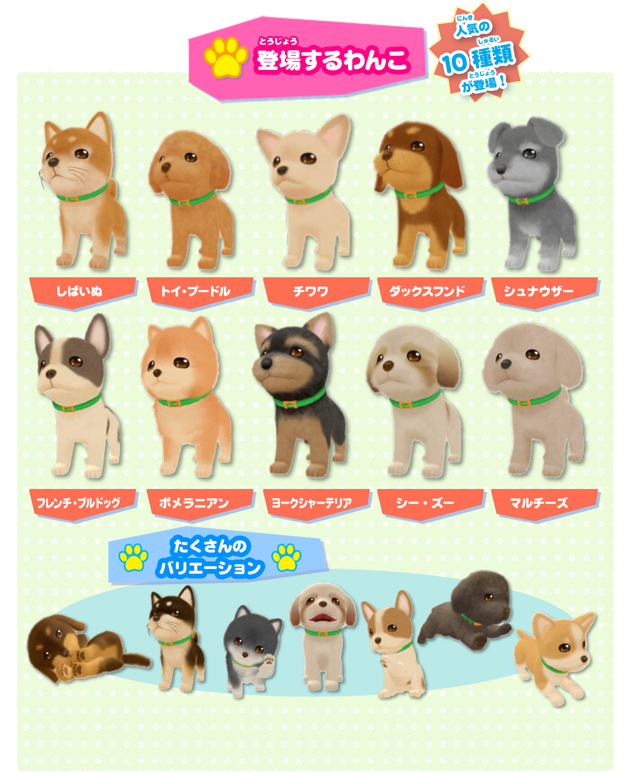 Nintendo Switch わんことあそぼ！ めざせドックトレーナー！